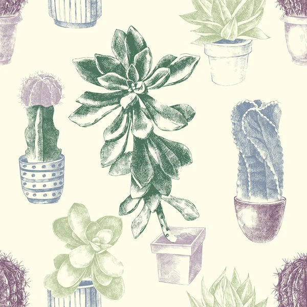 Modèle sans couture avec cactus et succulents — Image vectorielle