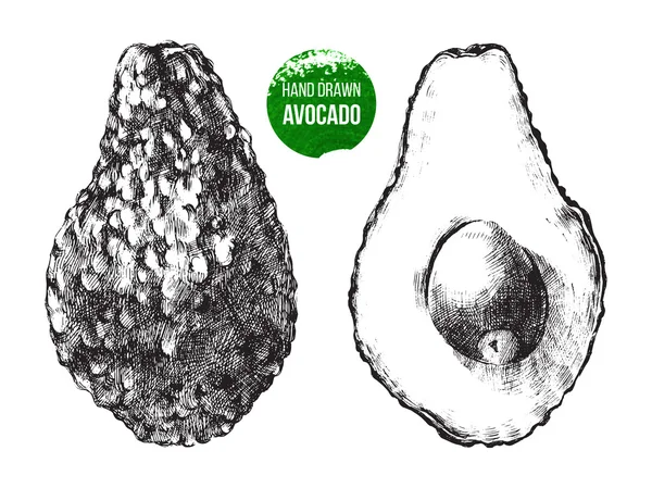 Боку звернено авокадо — стоковий вектор