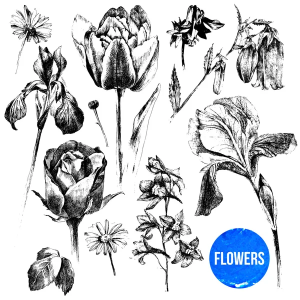 Collection of hand drawn flowers — Stock Vector