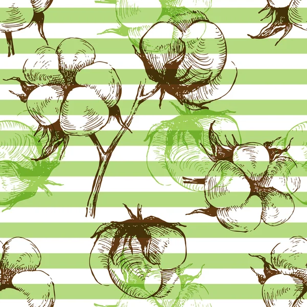 Cotton plant seamless pattern — Stock Vector