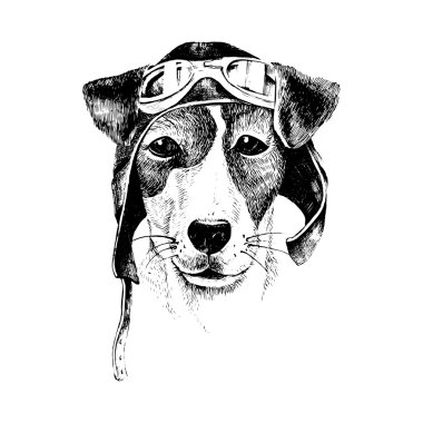 Elle çizilmiş kadar köpek havacı giyinmiş