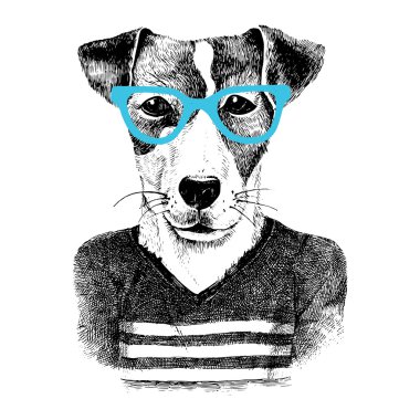 köpek hipter tarzı giyinip