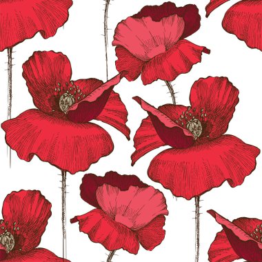 Haşhaş çiçekleri el ile Seamless Modeli çizilmiş