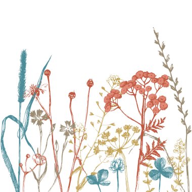 Bitkiler ve çiçekler ile sınır