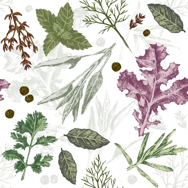 Motif sans couture avec des herbes et des épices — Image vectorielle