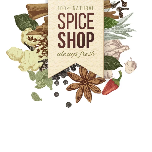 Spice winkel papier embleem met verschillende kruiden — Stockvector