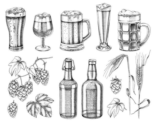 Met de hand getrokken bierset. Geschetste ontwerpelementen. — Stockvector