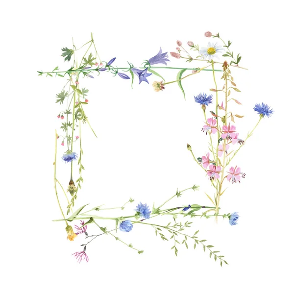 Square frame with watercolor meadow flowers — Stock Photo, Image