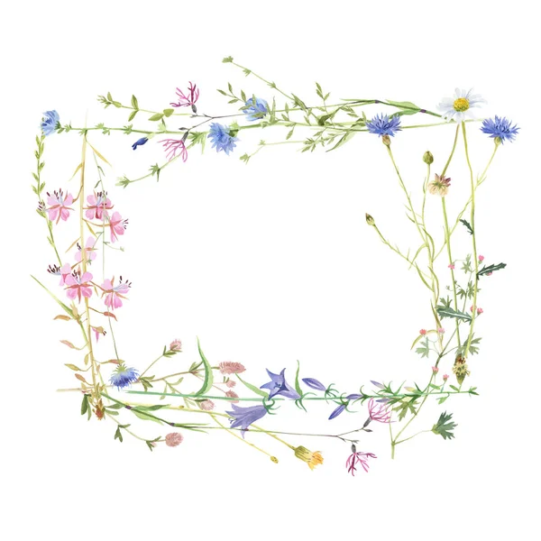 Cornice rettangolare con fiori di prato acquerello — Foto Stock