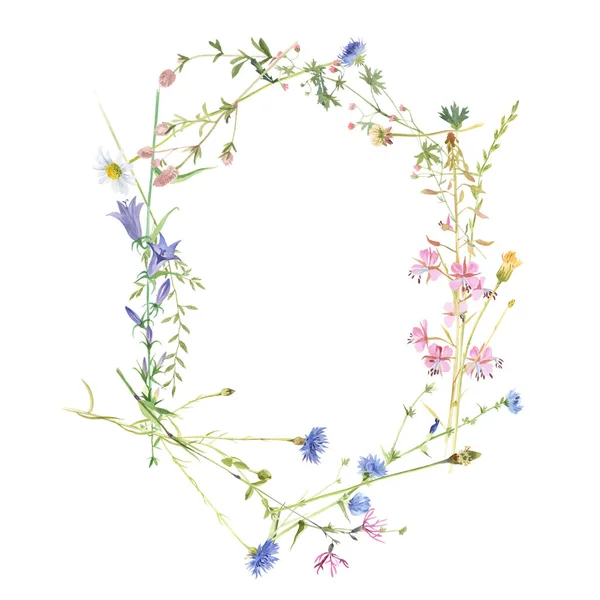 Frame with watercolor meadow flowers — Stock Photo, Image