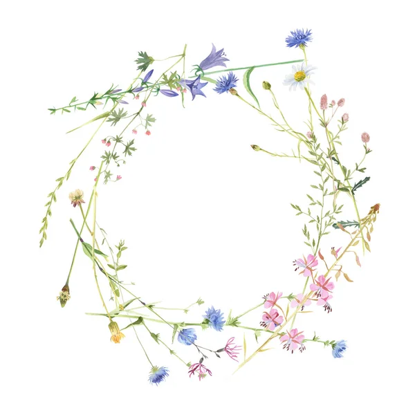 Cornice rotonda con fiori di prato ad acquerello — Foto Stock