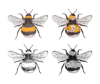 El yapımı 4 yaban arısı koleksiyonu