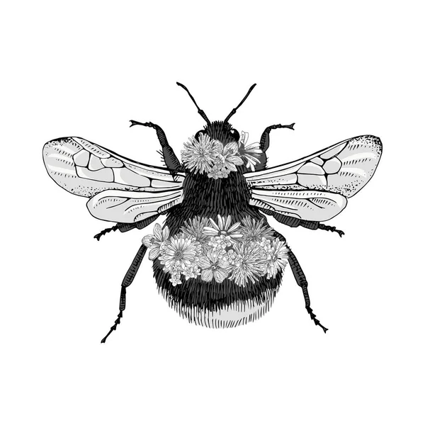El yapımı yaban arısı beyaz arka planda izole edilmiş — Stok Vektör