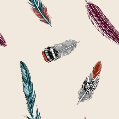 Hand drawn Seamless background colored feathers.