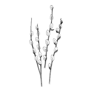 El yapımı söğüt dalı, Mutlu Paskalyalar 'ın sembolü.