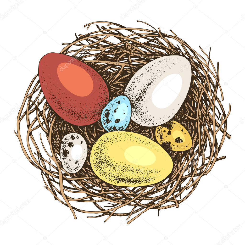 Hand drawn eggs and nests. Easter element