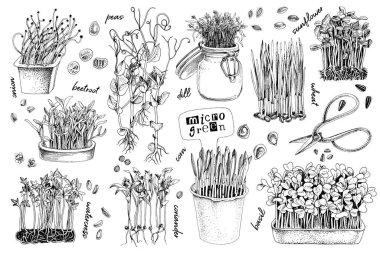 El çizimi mikro yeşil elementler ayarlandı