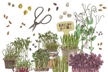 El çizimi mikro yeşil elementler ayarlandı