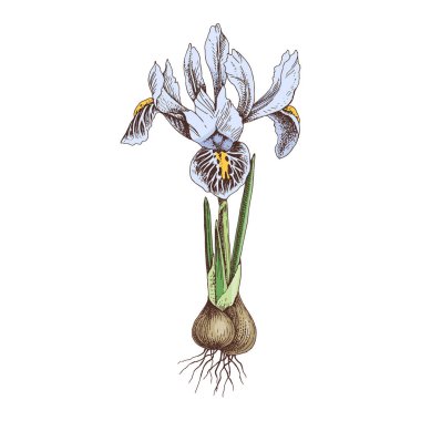 El çizimi bahar çiçeği..