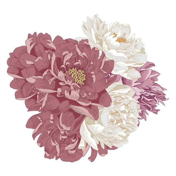 Bouquet de pivoines isolées. Illustration vectorielle — Image vectorielle