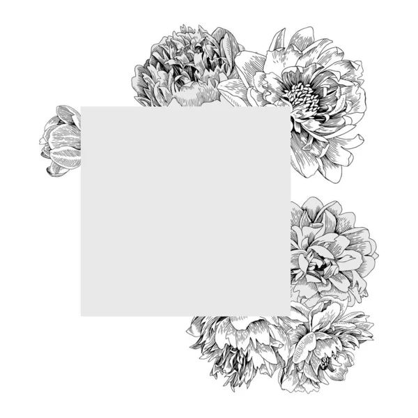 Frame in de vorm van een vierkant met pioenachtige bloemen. — Stockvector