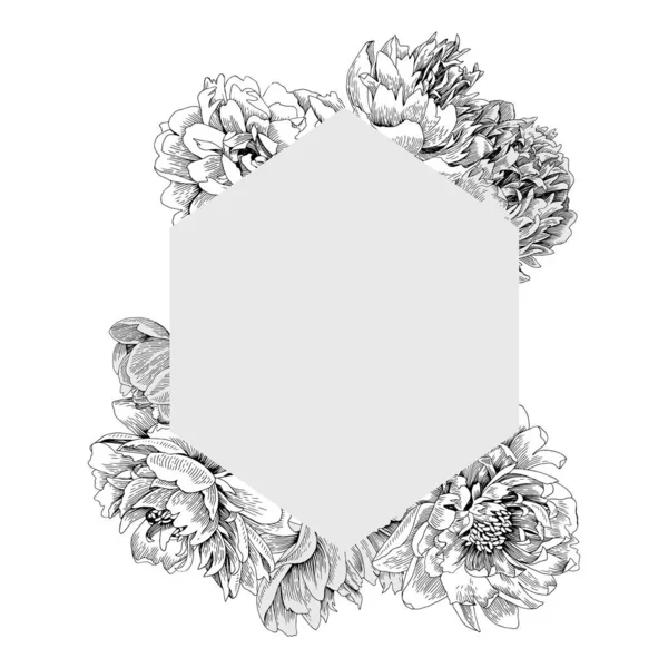 Elegant frame met pioenachtige bloemen. — Stockvector