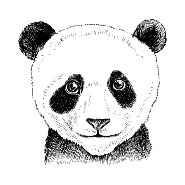 Portrait dessiné à la main de bébé ours panda drôle — Image vectorielle