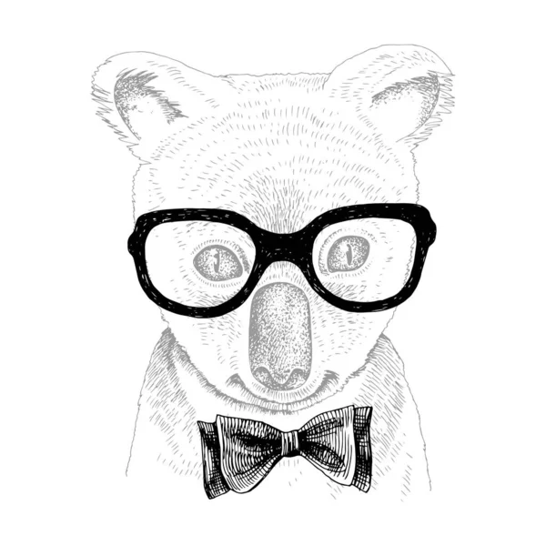 Retrato dibujado a mano de Koala bebé con accesorios — Vector de stock