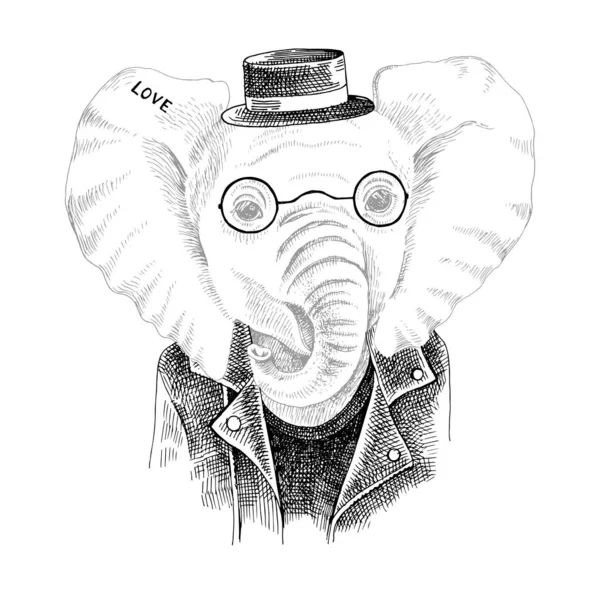 Retrato desenhado à mão de elefante com acessórios — Vetor de Stock