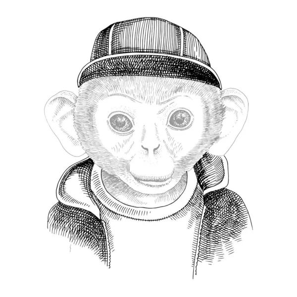 Hand drawn portrait of monkey with accessories — Stock Vector