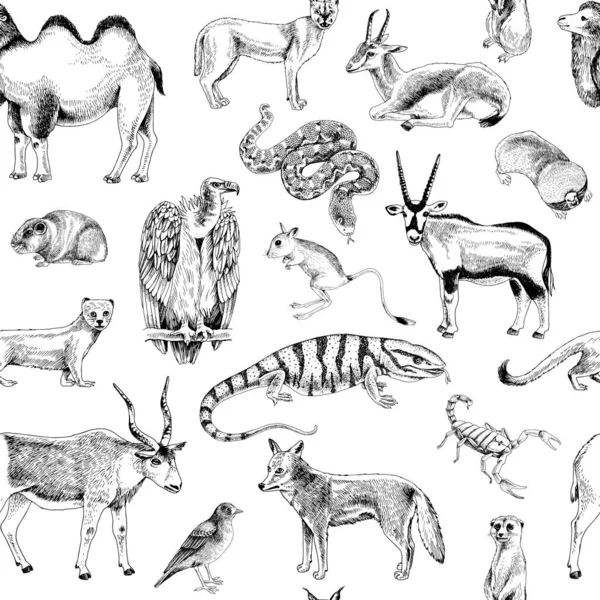 手工绘制的沙漠动物无缝图案 — 图库矢量图片