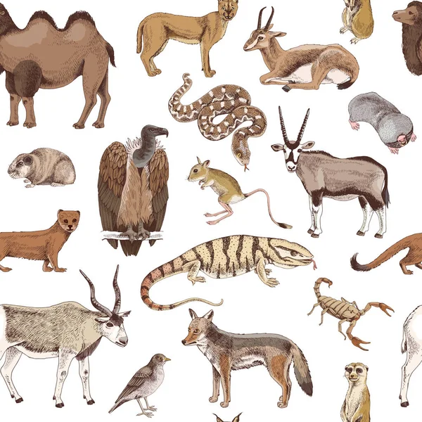 Ручной рисунок пустынных животных — стоковый вектор