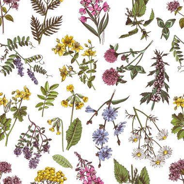 El yapımı, kusursuz şifalı bitkiler.