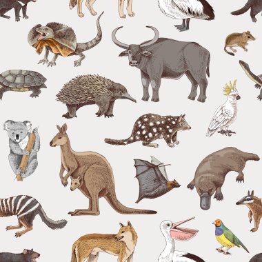 Hand drawn seamless pattern of Australian animals vector Hand drawn seamless pattern of Australian animals vector