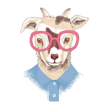 Keçi bebeğinin aksesuarlı portresi.