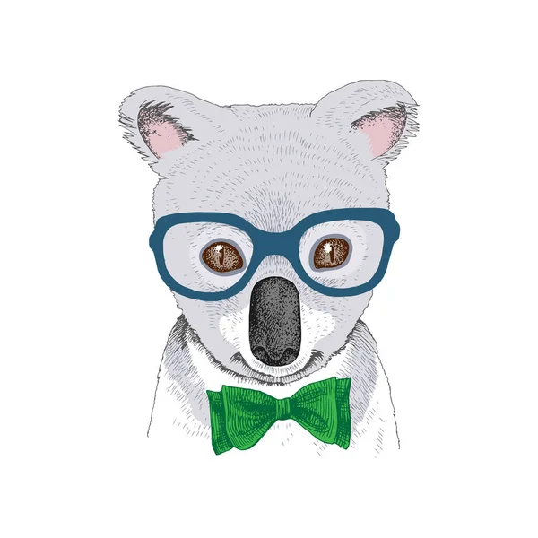 Handgetekend portret van Koala baby met accessoires — Stockvector