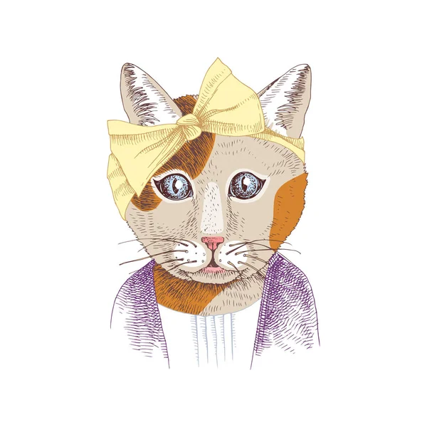 有趣的猫与配件的手绘肖像 免版税图库矢量图片