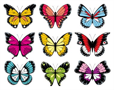 Batterfly koleksiyonu