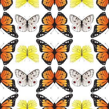 sorunsuz kelebek süs