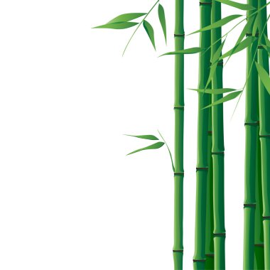 Bambu Arkaplanı