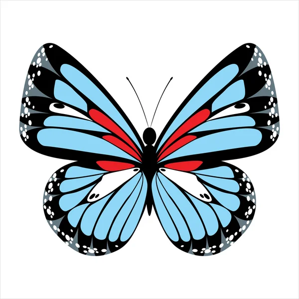 Blue butterfly — Stock Vector