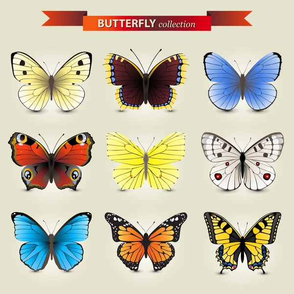 Kolekce Butterfly — Stockový vektor