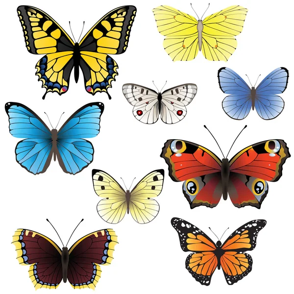 Sada motýl — Stockový vektor