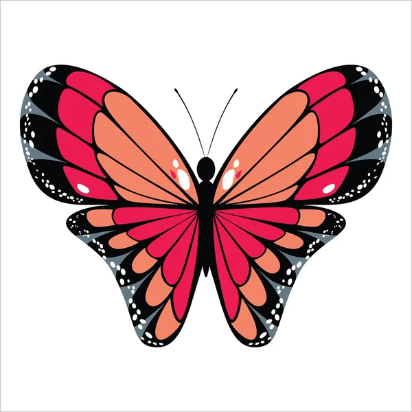 Mariposa. — Vector de stock