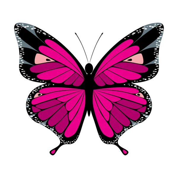 Mariposa. — Vector de stock