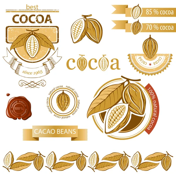 Granos de cacao — Vector de stock