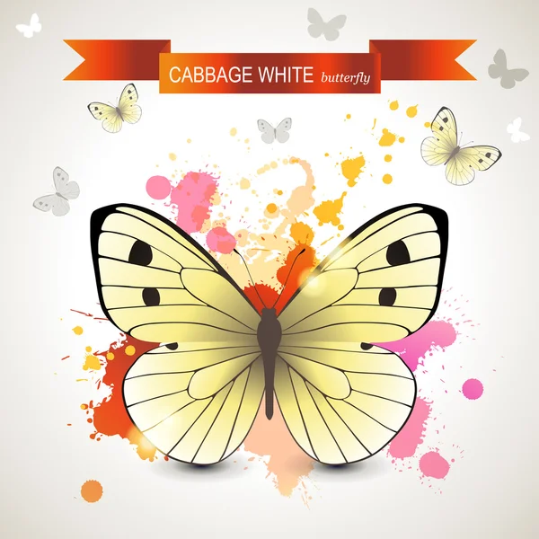 Cavoli farfalla bianca — Vettoriale Stock
