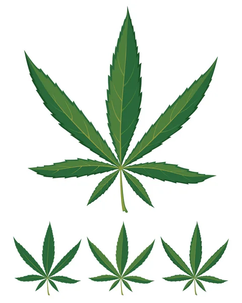 Marihuana — Vector de stock