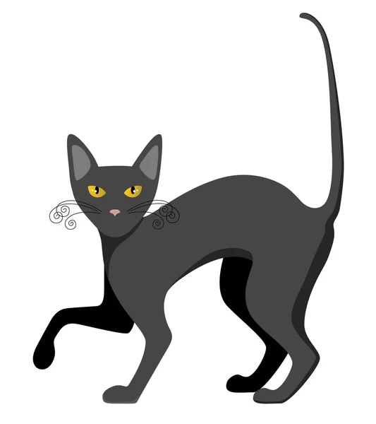 Chat noir — Image vectorielle