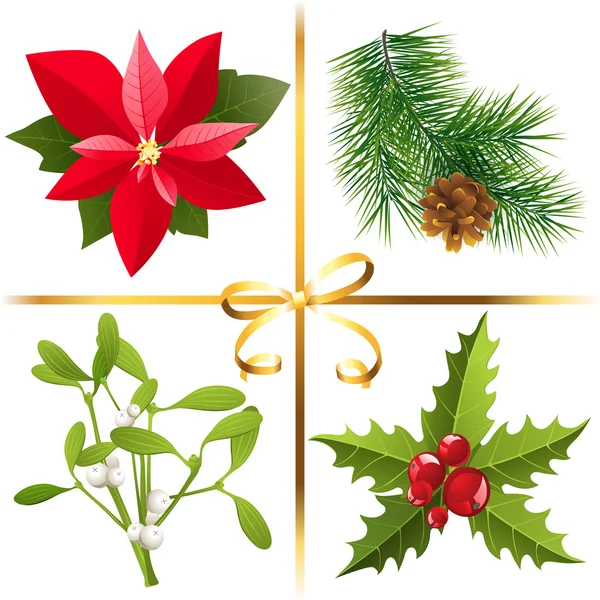 Plantas de Navidad — Vector de stock